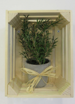Box in beech wood small