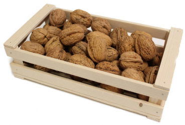 Box in beech wood small
