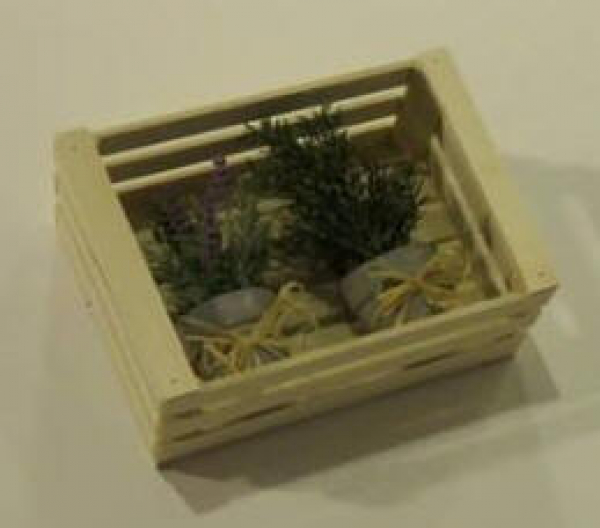 Box in beech wood small