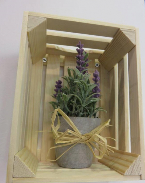 Box in beech wood small